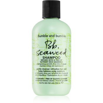 Bumble and bumble Seaweed Shampoo sampon pentru par cret cu extract de alge marine - imagine 2